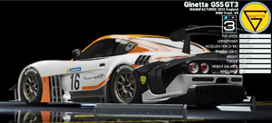 Ginetta_G55.jpg